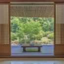 제주포도 이미지