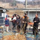 대주농장3 이미지