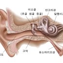 정재원씨, 손해배상 청구합니다 이미지