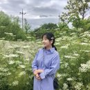 대도목장 네이버블로그