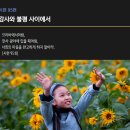 [시편 95편] 감사와 불평사이에서 이미지