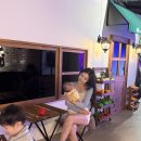 고양이숲 | 제주 돌코리숲 고양이테마파크 후기｜아이와 함께 가기 좋은 제주 명소