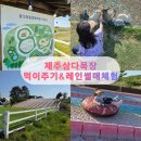 썰매점 | 5월 제주 아이와 가볼만한곳 삼다마을목장 썰매 체험 솔직후기 내돈내산