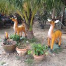 강일구농장 이미지