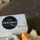 광택농장 이미지