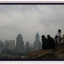 홍산목장2 이미지