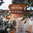 제주마을 - 노원구 상계로 100 | 제주마을