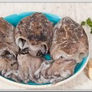 태양수산활어회 이미지