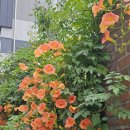 샹떼PC방 대전탄방점 | 250628 대전 당일치기 여행