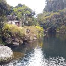 서귀포 홍리 실내수영장 이미지