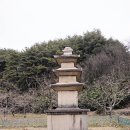 나무밭 이미지