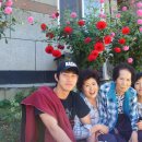 시골맛집 이미지