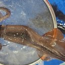 농수산물도매시장 이미지