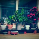 어머니의 방 - 시 이미지