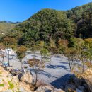 황학동캠핑장 이미지