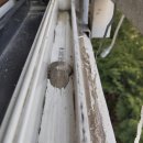 가경푸르지오아파트 | 청주가경푸르지오아파트 코킹작업