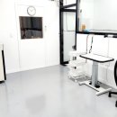 멍멍플라워 이미지