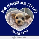 언제나동물병원 이미지