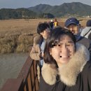 순천만습지 주차장 화장실 | 추운 11월, 6개월 아기와 함께 순천만습지 다녀온 후기!(입장료, 주차장, 화장실 정보도 함께!)