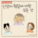광선 | 신생아 황달 모든 것_원인과 종류, 수치 기준(ft.두혈종 광선치료 후기)