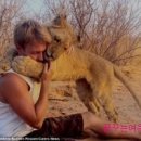 이건사자 이미지