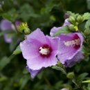 보현유통 이미지