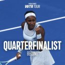 고고차이나 이미지