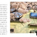 김동환공인중개사사무소 이미지