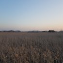 포구의 오후 이미지