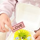 책과 함께 크는 아이들 | 춘천 키즈 클래스 책과 함께 아이만의 수업 후기 더화다