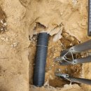 낙성대 숲속공원 이미지