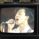 무한궤도