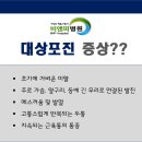 비엔피병원 이미지