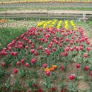 세느파크 이미지