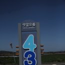 제주 올레길 10코스 이미지
