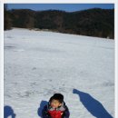 포도나무펜션 이미지