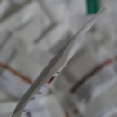 더로스팅체임버