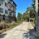 망오름 인근 이미지