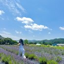 선형농장 이미지