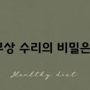 케어플러스