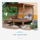 별빛좋은민박 | 여주 감성 촌캉스, 반려견과 함께 쉬기 좋은 ‘꼬순이네 민박’ 솔직 후기