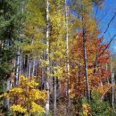 바다 그리고 달 이미지