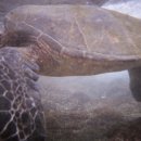 정원한우농장 이미지