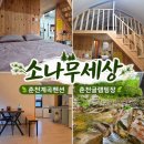 춘천계곡펜션 소나무세상 춘천글램핑장 자연 힐링 숙소 후기