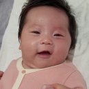 유정화원 이미지