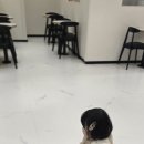 월드킹 안산점 | 월드킹 안산점 재방문 후기