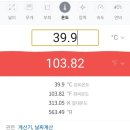 파랑새세차장 | [텍사스 오스틴] 5일동안 지속된 유아 고열 - 해열제로만 버티기