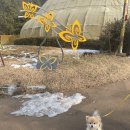 나비공원 이미지