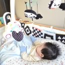 [육아일기] 초산모 봄소리 산후도우미 이용 후기