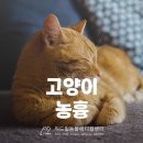 중곡동물병원 이미지